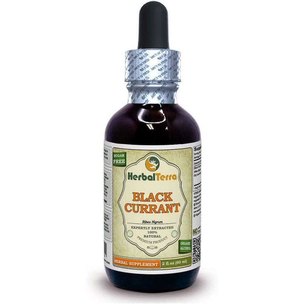 Herbal Terra Black Currant Leaf Tincture 60ml bottle front view