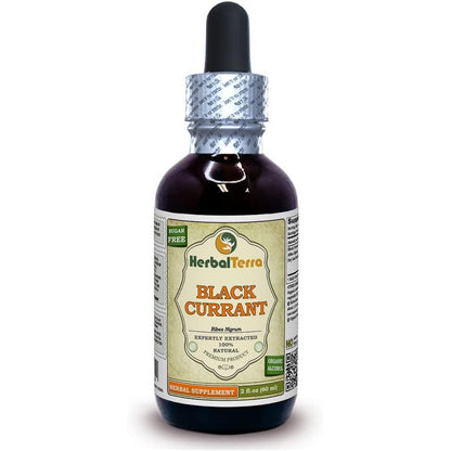 Herbal Terra Black Currant Leaf Tincture 60ml bottle front view