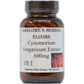 Barlowe's Herbal Elixirs Cynomorium Songaricum Extract front view of glass bottle.