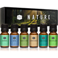 P&J Trading Nature Fragrance Oil Set 6 Pack front view