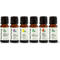 Plant Therapy Top 6 Organic Essential Oil Set front view of the gift box and six amber bottles.