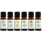 Plant Therapy Top 6 Organic Essential Oil Set front view of the gift box and six amber bottles.