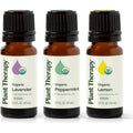 Plant Therapy Top 3 Organic Essential Oil Set front view highlighting Lemon Lavender and Peppermint bottles.