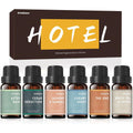 AmaKane Hotel Diffuser Oils 6-pack front view showcasing luxury fragrance bottles.