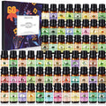 SACATR Essential Oil Set front view showing sixty colorful bottles