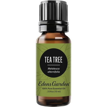 Edens Garden Tea Tree Essential Oil 10ml bottle front view for aromatherapy