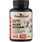 ForestLeaf Grass Fed Beef Organ Complex bottle front view supplement