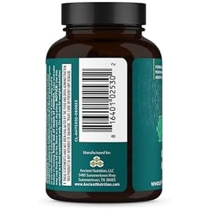 Ancient Nutrition Thyroid Support 60 capsules front bottle view for energy and metabolism support.