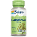 Solaray Bladderwrack 580 mg front view bottle showing 100 vegetarian capsules and seaweed illustration.