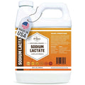 33rd Parallel Soap Co. sodium lactate liquid front view bottle packaging