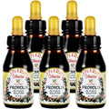 Apiario Silvestre Brazilian Green Propolis Liquid Extract front view bottles