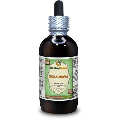 Herbal Terra Punarnava Alcohol Free Liquid Extract Four Fluid Ounces front view bottle