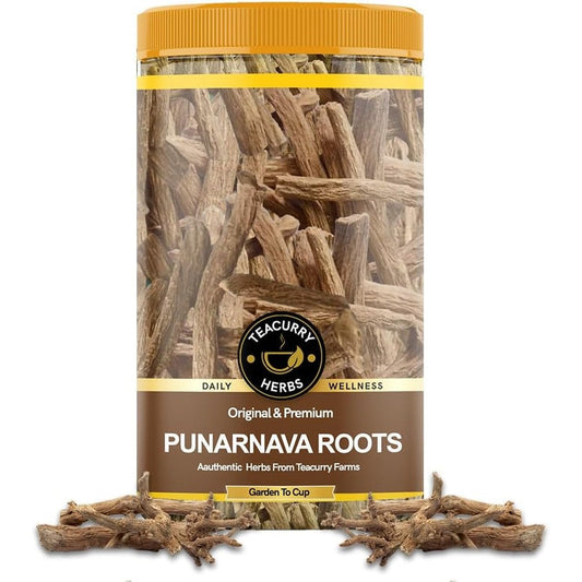 Teacurry Organic Punarnava Roots 70g transparent container front view showing premium dried herbal roots.