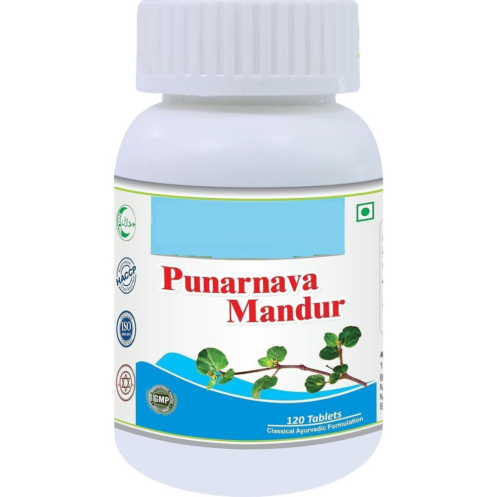 Planet Ayurveda Punarnava Mandur 120 tablets pack of 2 front view showing authentic ayurvedic wellness packaging