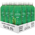 Chlorophyll Water plant based vitamin water twelve pack front view bottle display