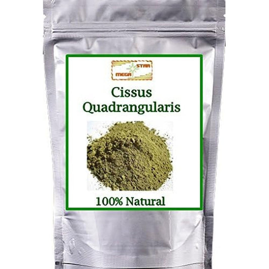 MegaStarMart Natural Cissus Quadrangularis Hadjod Churna Powder 100g front view for Ayurvedic bone strength.