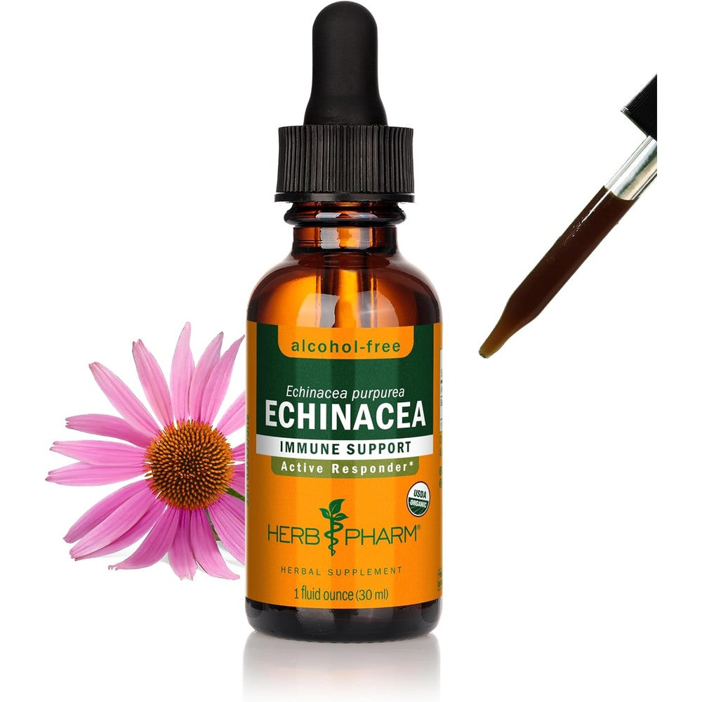 Herb Pharm Organic Echinacea Root alcohol-free liquid supplement front view