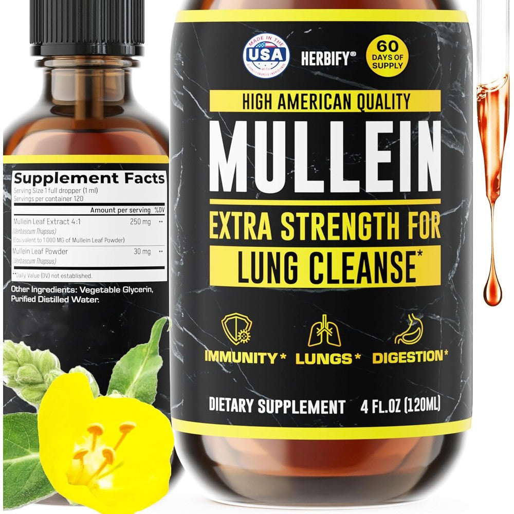 Herbify Mullein Drops Lung Cleanse bottle front view for respiratory support.