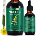 Vortexonix Mullein Leaf Extract for Lungs front view