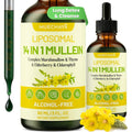 Muechaya Liposomal 14 In 1 Mullein Drops bottle front view