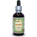 Herbal Terra LLC Bilberry Glycerite Alcohol Free Liquid Extract front view bottle for natural eye health support