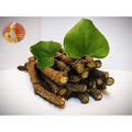 Indian Farms Fresh Giloy Neem Stems front view authentic immunity booster packaging