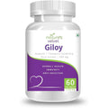 Nature's Velvet Pub Giloy Extract 500mg bottle front view showing immunity support supplement