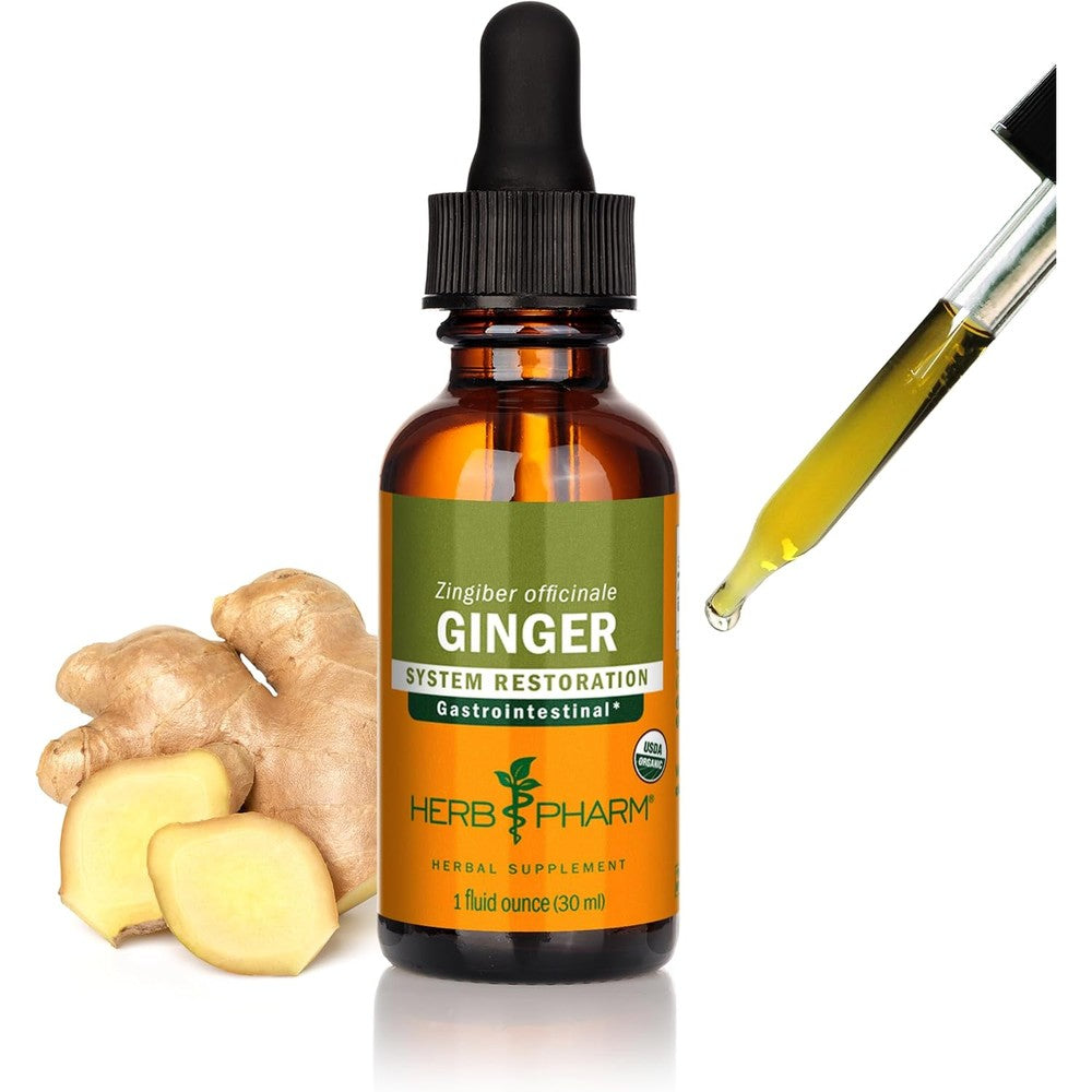 Herb Pharm Certified Organic Ginger Root Liquid Extract front view bottle for digestive aid