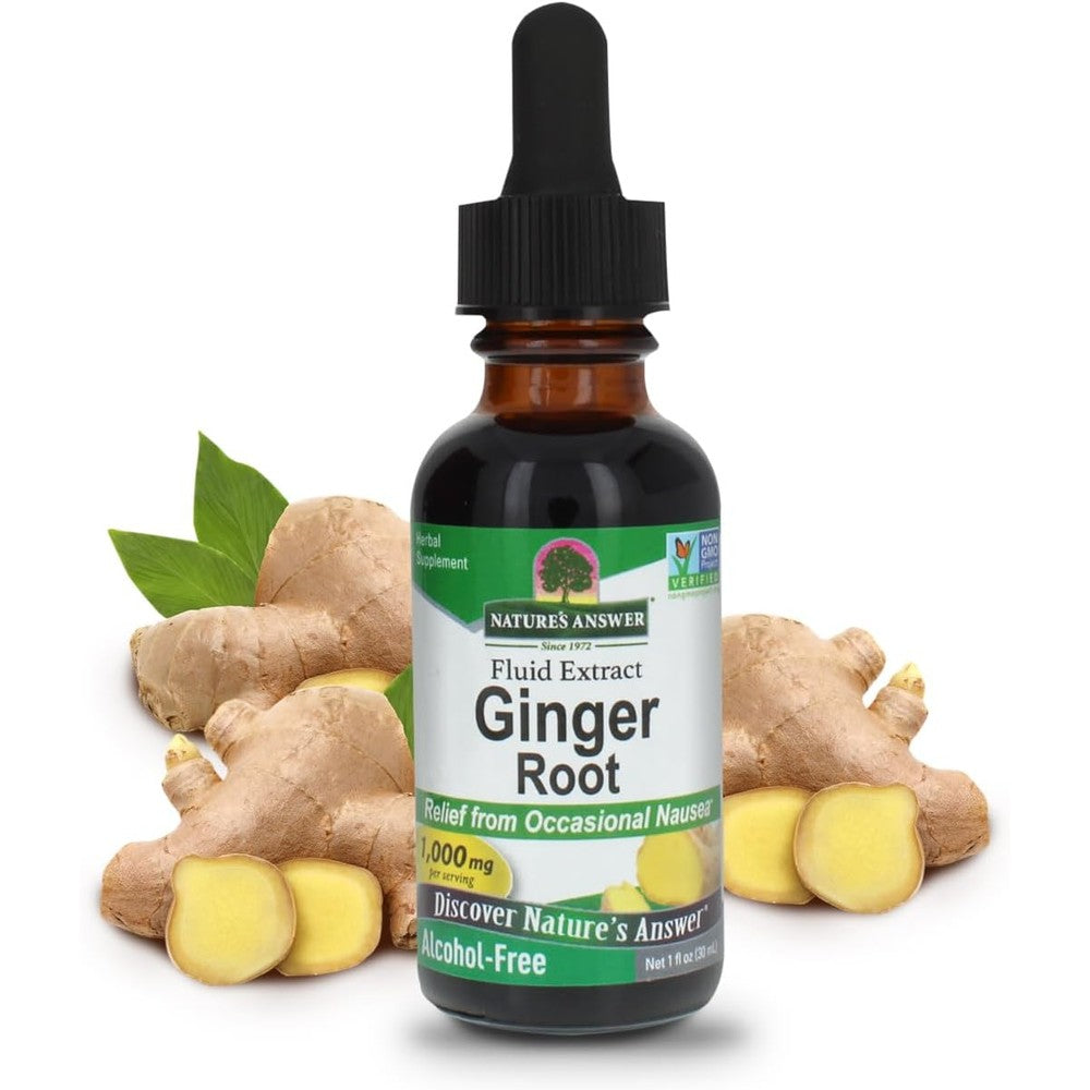 Nature's Answer Ginger Root Alcohol Free Liquid Extract bottle front view for digestive support