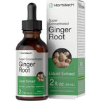 Horbäach Ginger Root Extract Liquid front view of the two fluid ounce bottle for digestive wellness.