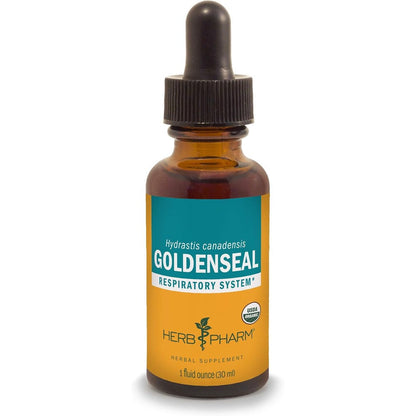 Herb Pharm Certified Organic Goldenseal Liquid Extract 1 Fluid Ounce bottle front view for respiratory support