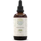 HerbEra Goldenseal Root Alcohol Free Extract 120ml front bottle display for immune support