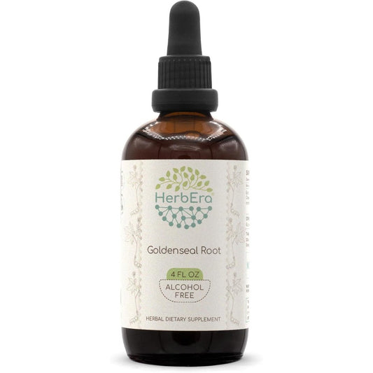 HerbEra Goldenseal Root Alcohol Free Extract 120ml front bottle display for immune support