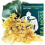 The Transformation Factory Irish Wildcrafted Sea Moss Raw front package view for immunity booster