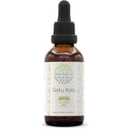 HerbEra Gotu Kola B60 Alcohol Free Herbal Extract Drops front view bottle
