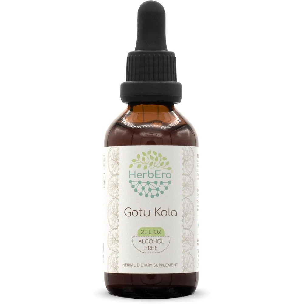 HerbEra Gotu Kola B60 Alcohol Free Herbal Extract Drops front view bottle