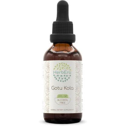 HerbEra Gotu Kola B60 Alcohol Free Herbal Extract Drops front view bottle