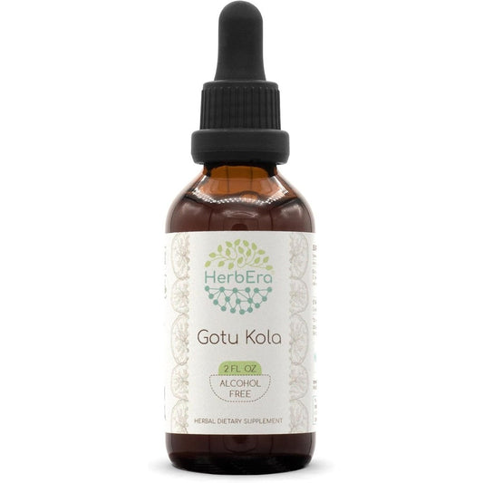 HerbEra Gotu Kola B60 Alcohol Free Herbal Extract Drops front view bottle