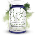 Nootropics Depot Gotu Kola Extract 120mg front bottle view for memory support