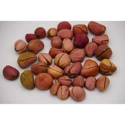 Kola Nutrition 4 Lobe Red Ripe Kola Nuts 8 Ounce front packaging