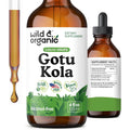 Wild & Organic Gotu Kola Extract Drops front view bottle for natural brain support