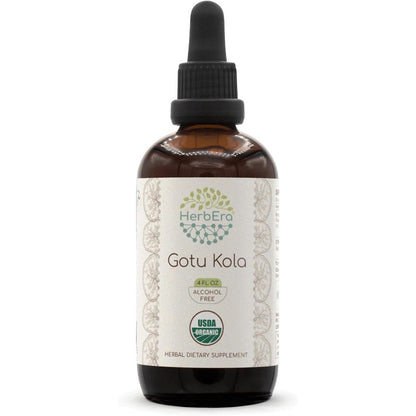 HerbEra Gotu Kola B120 USDA Organic Tincture front view four fluid ounces bottle for cognitive wellness