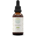 Herbera Gymnema B60 liquid extract front view supplement bottle