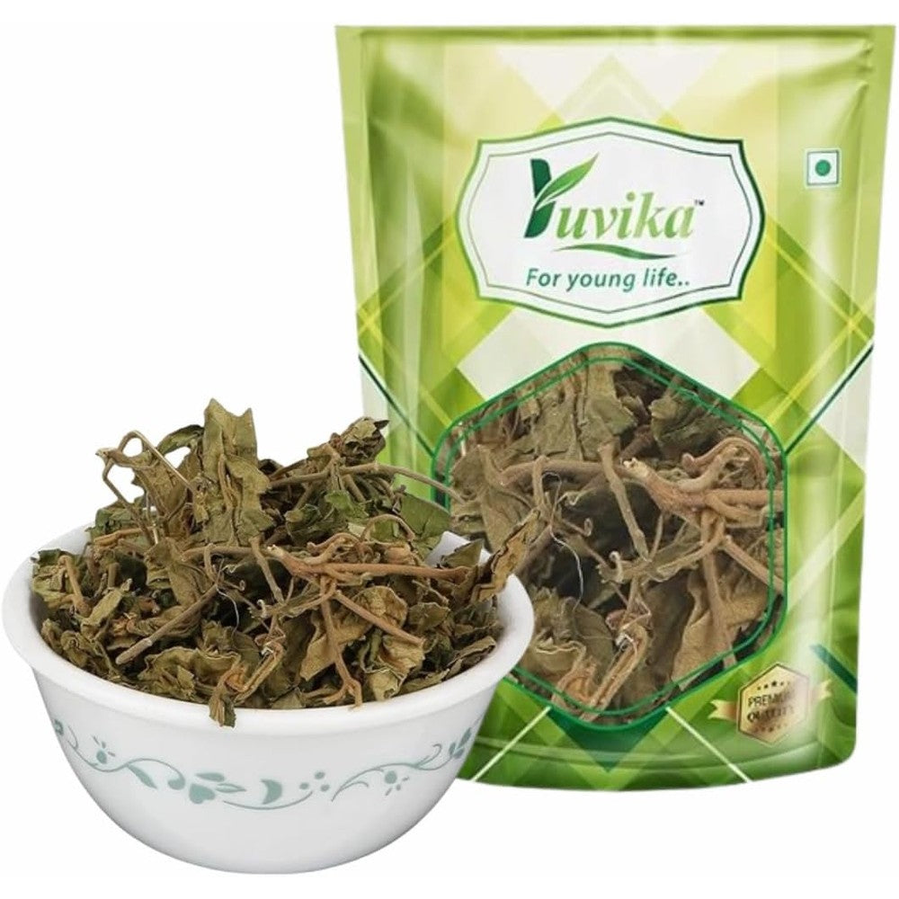 Yuvika Gurmar Leaves 100g front view pack of authentic Gymnema Sylvestre raw herbs for blood sugar support