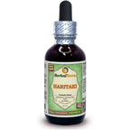 Herbal Terra LLC Haritaki Liquid Extract front view authentic imported dietary supplement drops
