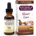 Amber NaturalZ Hawthorn and Dandelion pet heart care supplement front view
