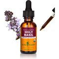 Herb Pharm Certified Organic Holy Basil Liquid Extract bottle front view