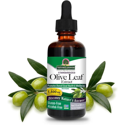 Nature's Answer Olive Leaf Extract front bottle view