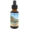 WishGarden Herbs Kick It Biotic Kids 1 Fluid Ounce bottle front view for children's immune support.