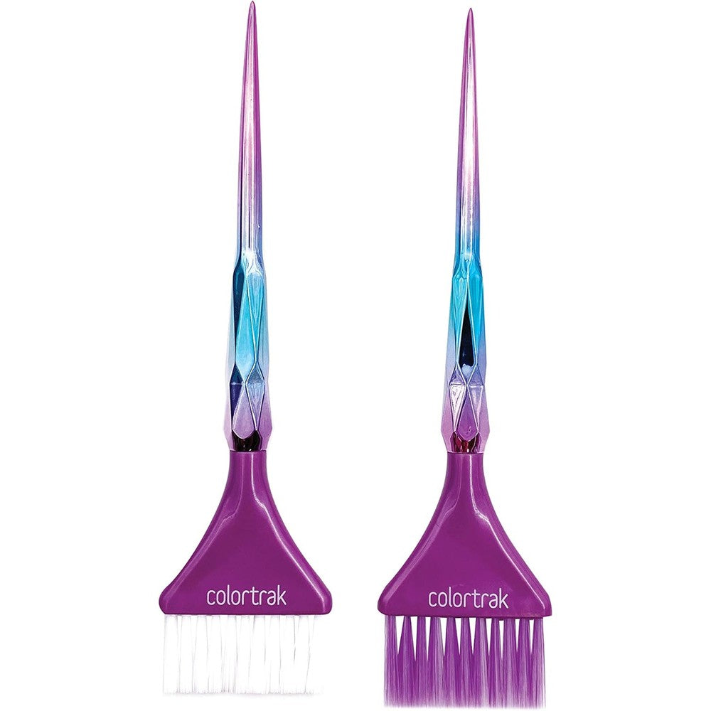 Colortrak The Aurora Collection Wide Color Brushes front view